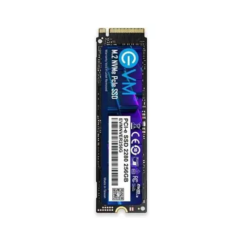 Evm 256Gb M.2 Nvme Internal Ssd (EVMNV/256GB)