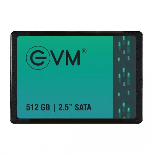 Evm 512GB Internal Ssd (EVM25-512GB)